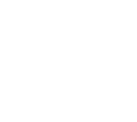Octopus logo
